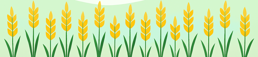 Цифровые сервисы